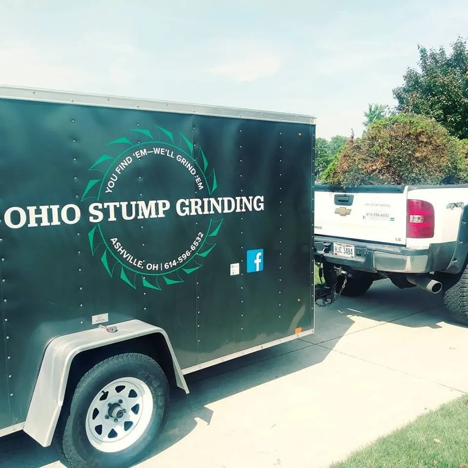 Trusted yard cleanup service for outdoor upgrades in Ashville, OH by Ohio Stump Grinding