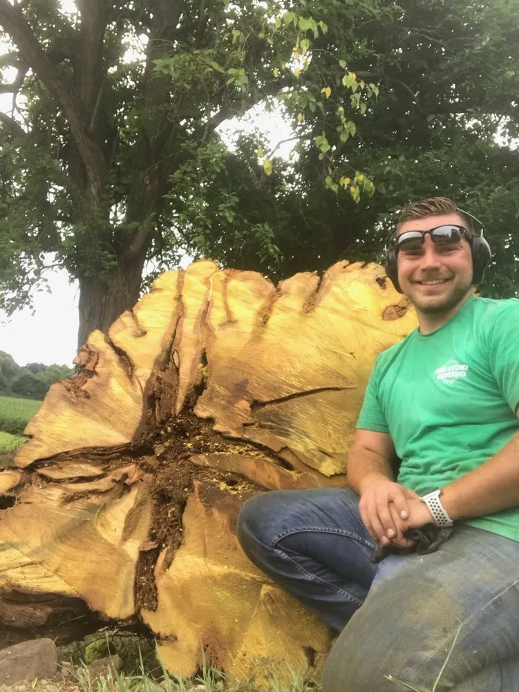 Trusted landscape design in Ashville, OH by Ohio Stump Grinding