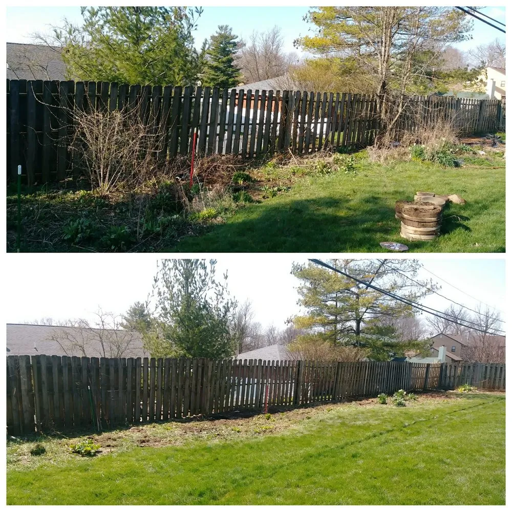 Professional yard cleanup service experts serving Ashville, OH - Ohio Stump Grinding