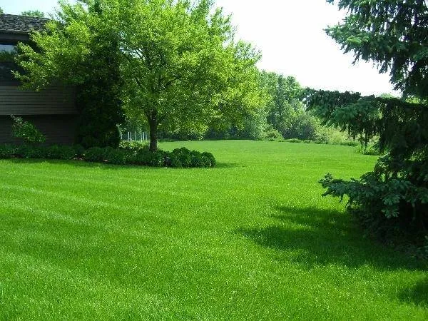 Top-rated landscape installation for beautiful yards across South Lebanon, OH - Ohio Turf Solutions