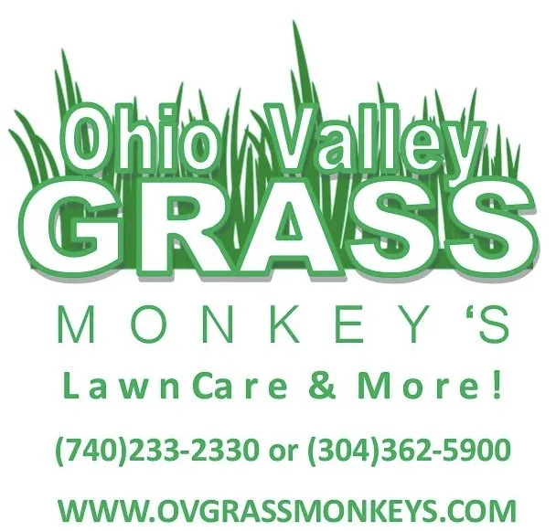 Professional lawn care service for outdoor upgrades in Wellsburg, WV by Ohio Valley Grass Monkey’s