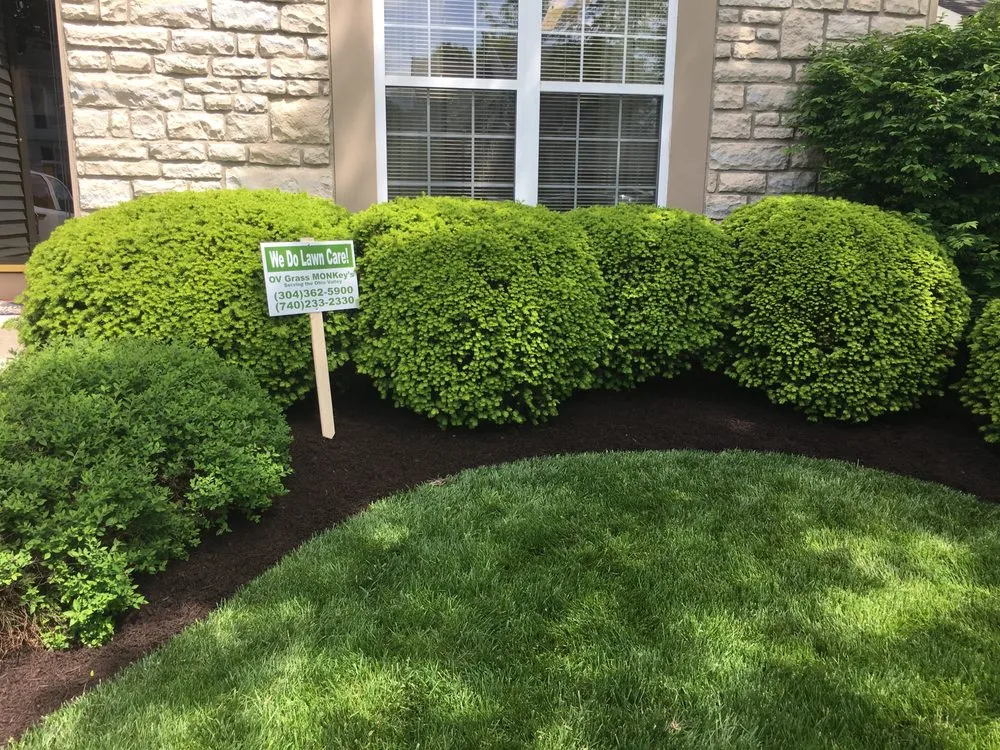 Local yard maintenance for beautiful yards across Wellsburg, WV - Ohio Valley Grass Monkey’s