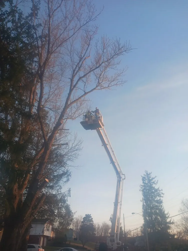 Local landscape design for outdoor upgrades in Mingo Junction, OH by Ohio Valley Landscaping