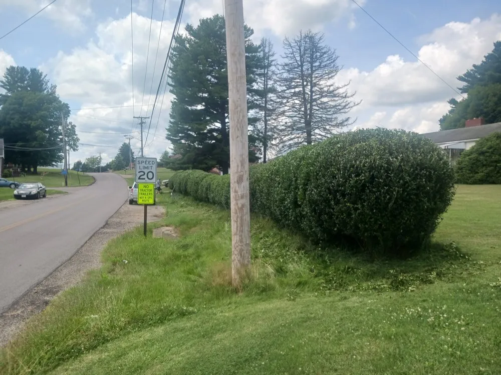 Professional yard cleanup service in Mingo Junction, OH - Ohio Valley Landscaping