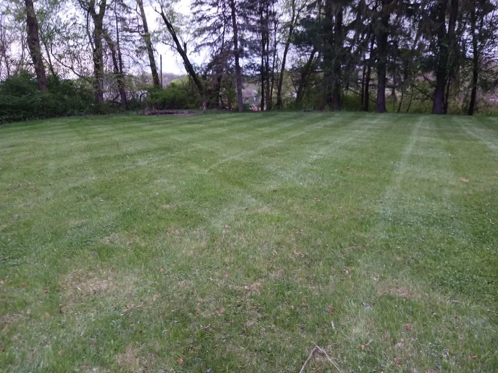 Trusted outdoor landscaping for year-round maintenance in Mingo Junction, OH by Ohio Valley Landscaping