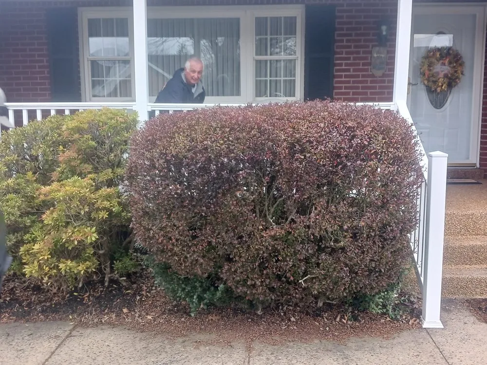 Custom landscape installation for residential properties across Mingo Junction, OH - Ohio Valley Landscaping