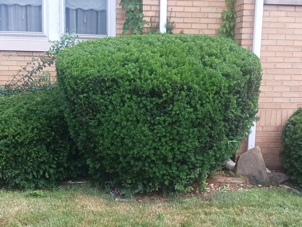 Trusted residential landscaping for outdoor upgrades across Mingo Junction, OH - Ohio Valley Landscaping