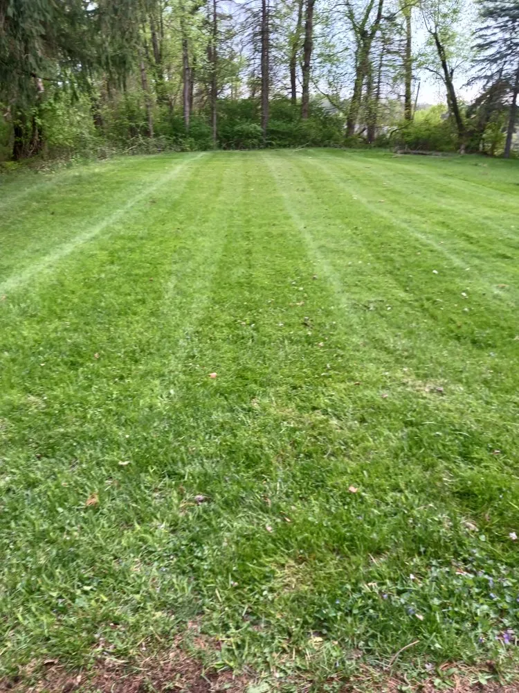 Reliable yard cleanup service for residential properties in Mingo Junction, OH by Ohio Valley Landscaping