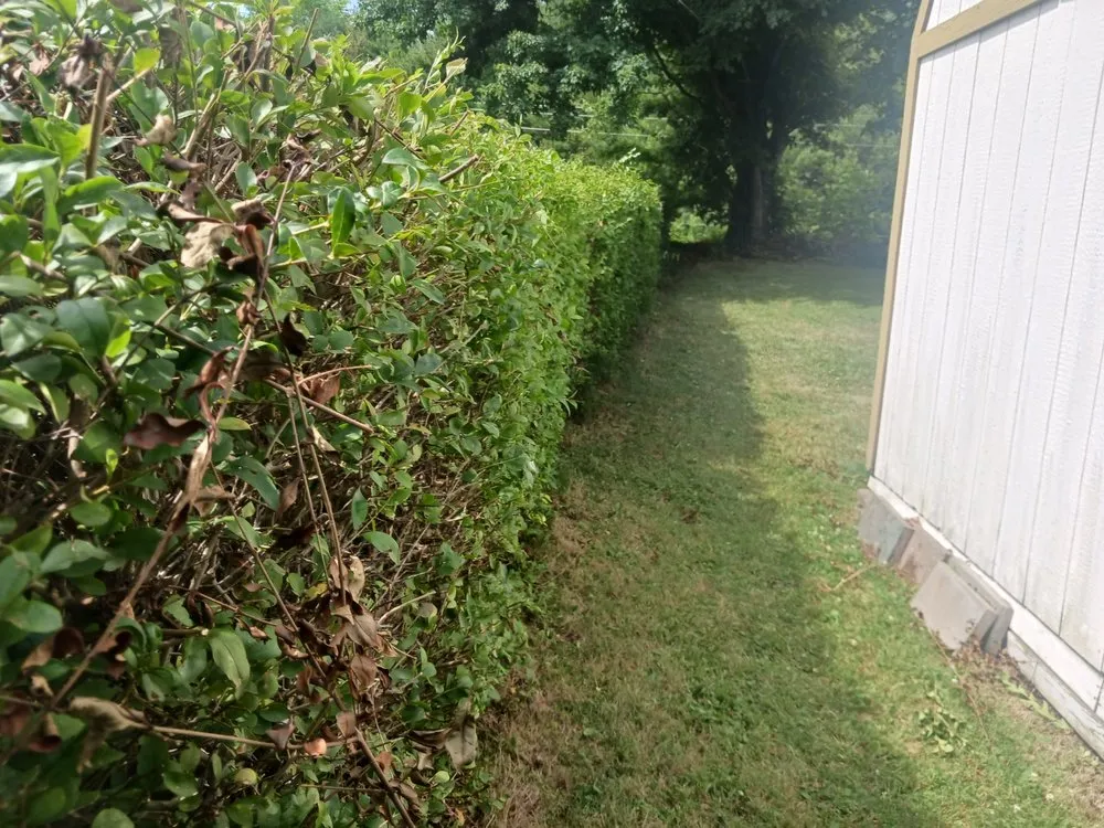 Local lawn mowing service in Mingo Junction, OH - Ohio Valley Landscaping