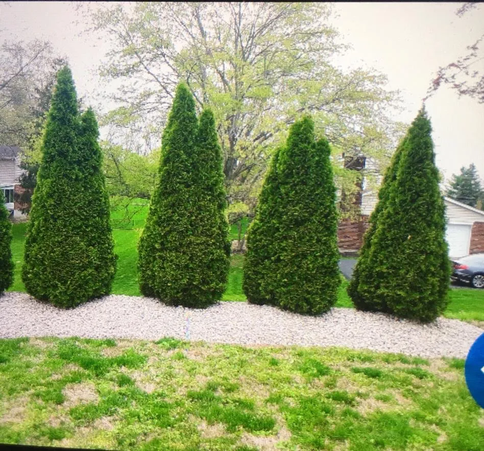 Reliable lawn care service for homes across Cincinnati, OH - Ohioevergreen