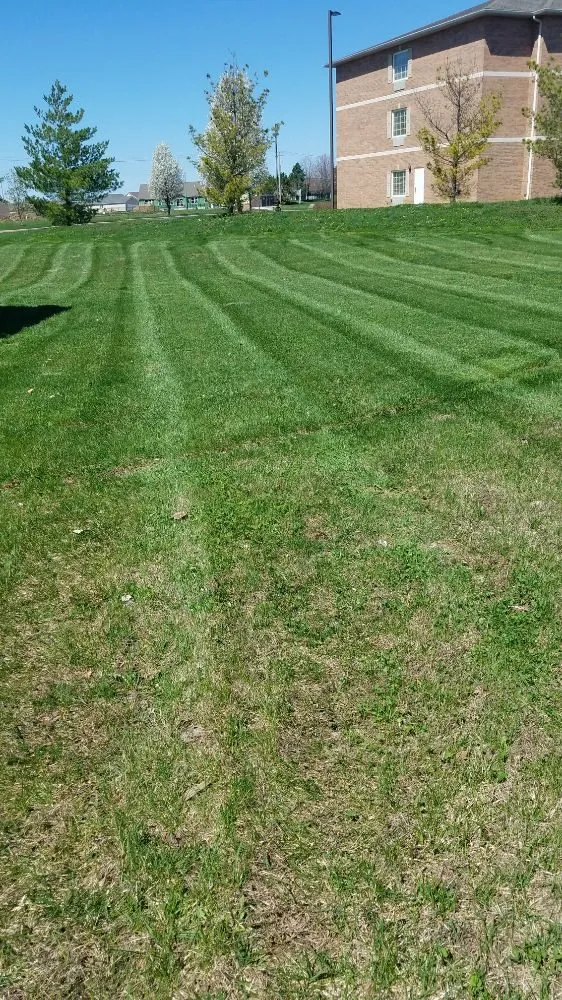 Top-rated garden landscaping in Swansea, IL by Ohlendorf Lawn And Snow