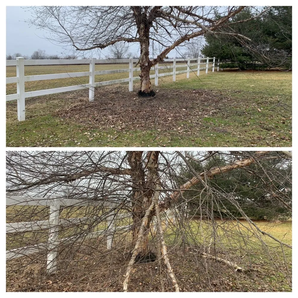 Expert yard maintenance for homes across Harrison, OH - O.I. Landscape