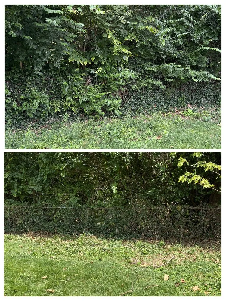 Custom residential landscaping experts serving Harrison, OH - O.I. Landscape