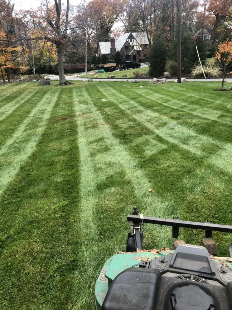 Top-rated lawn care service in Orange, NJ - O&I Landscaping Llc