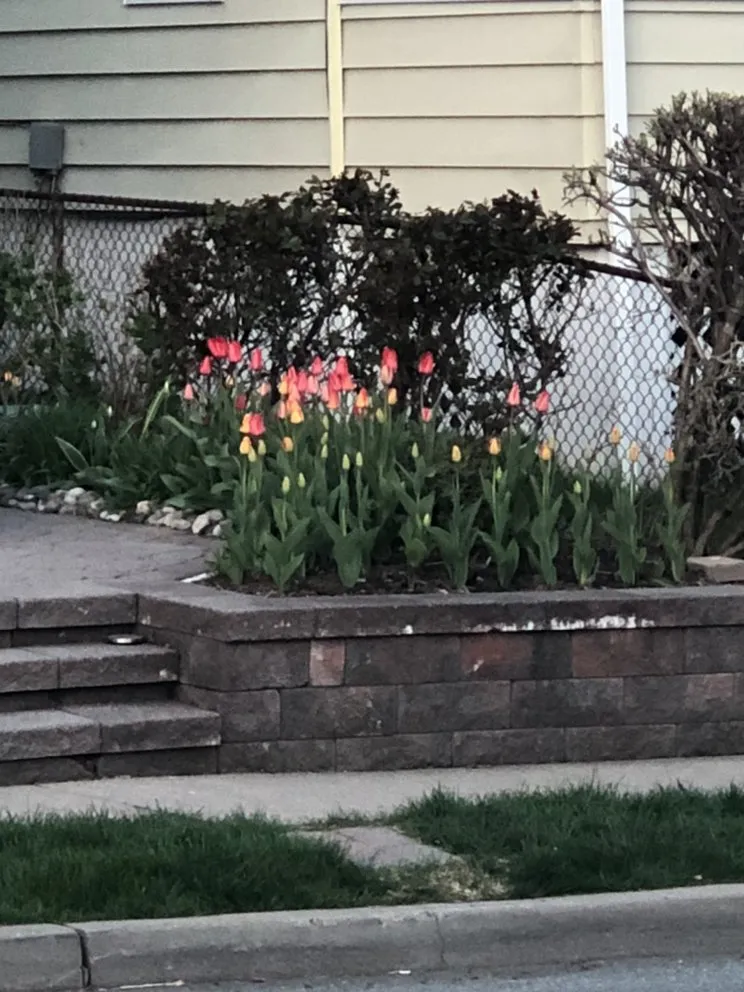 Trusted outdoor landscaping experts serving Orange, NJ - O&I Landscaping Llc