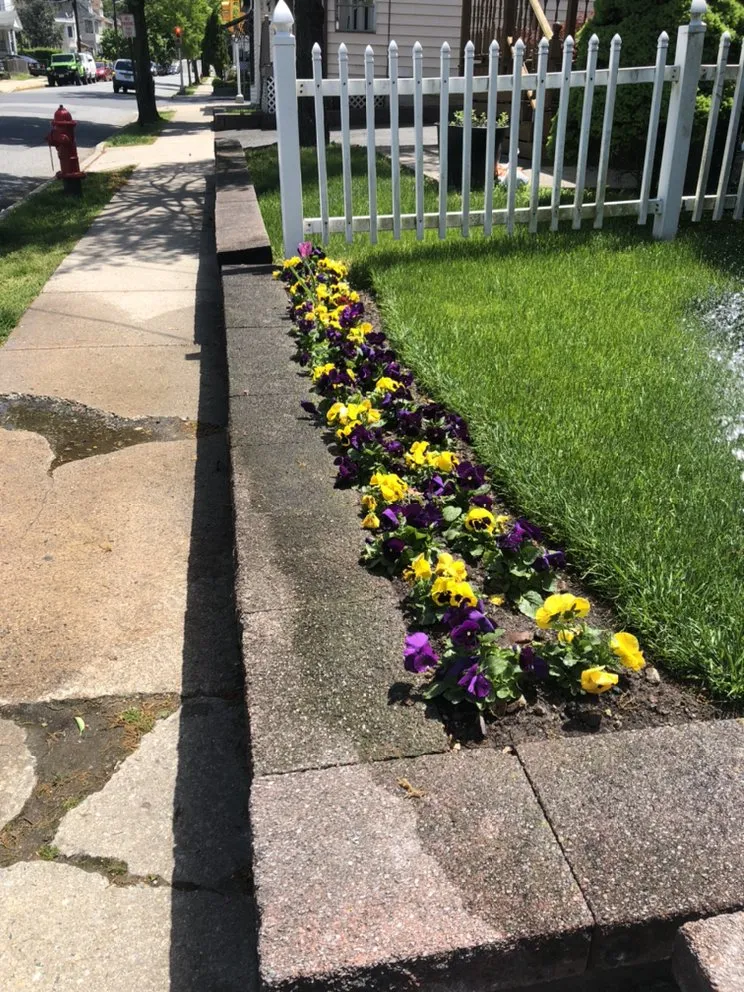 Trusted landscaping services for outdoor upgrades across Orange, NJ - O&I Landscaping Llc