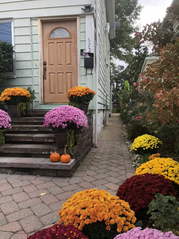 Custom yard maintenance with custom design across Orange, NJ - O&I Landscaping Llc