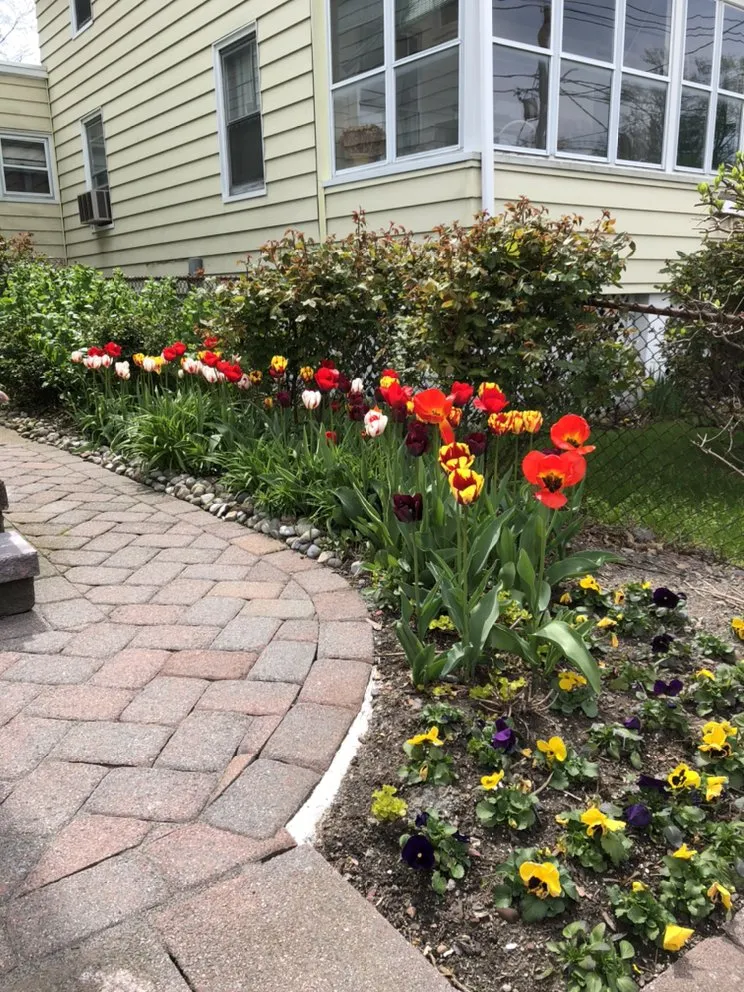 Expert lawn mowing service in Orange, NJ by O&I Landscaping Llc