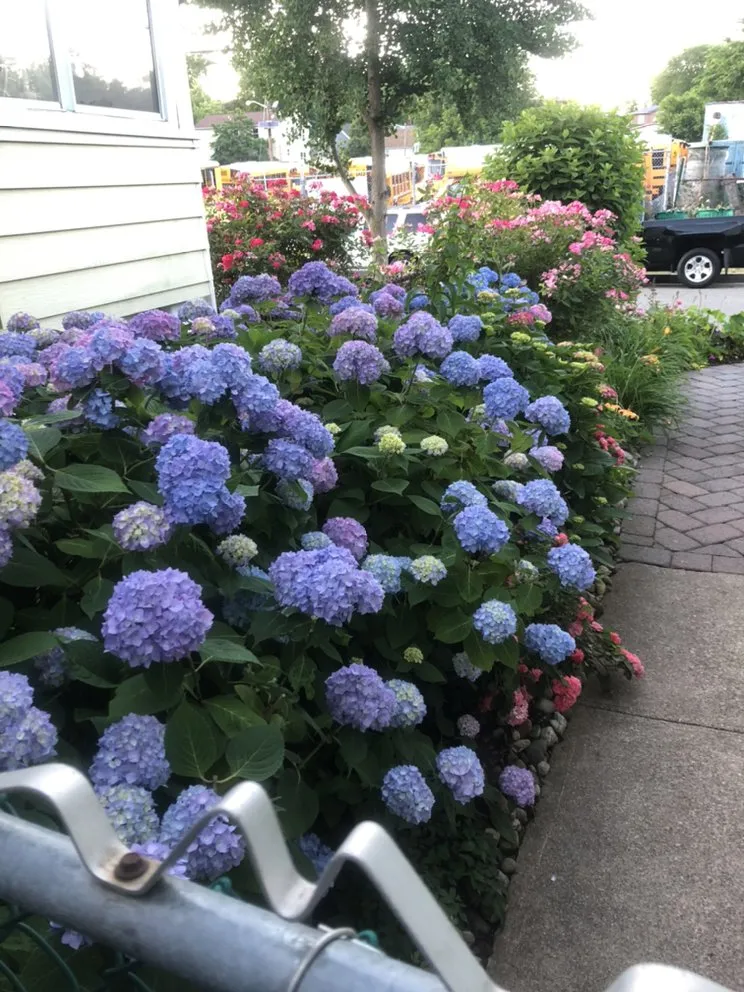 Reliable lawn care service in Orange, NJ - O&I Landscaping Llc