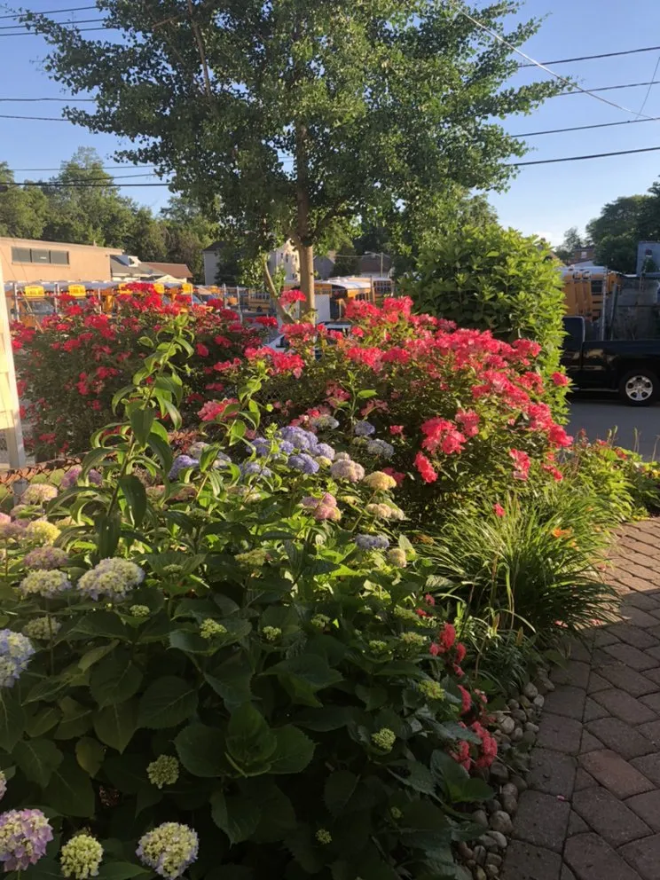 Expert lawn care service in Orange, NJ - O&I Landscaping Llc