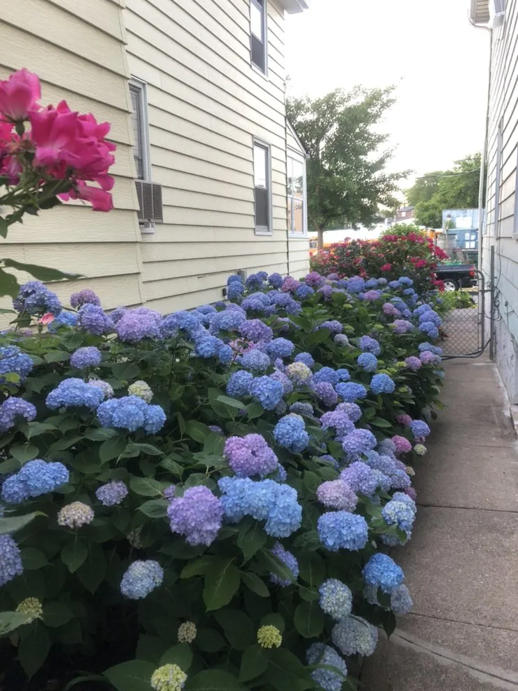 Expert landscape installation in Orange, NJ by O&I Landscaping Llc