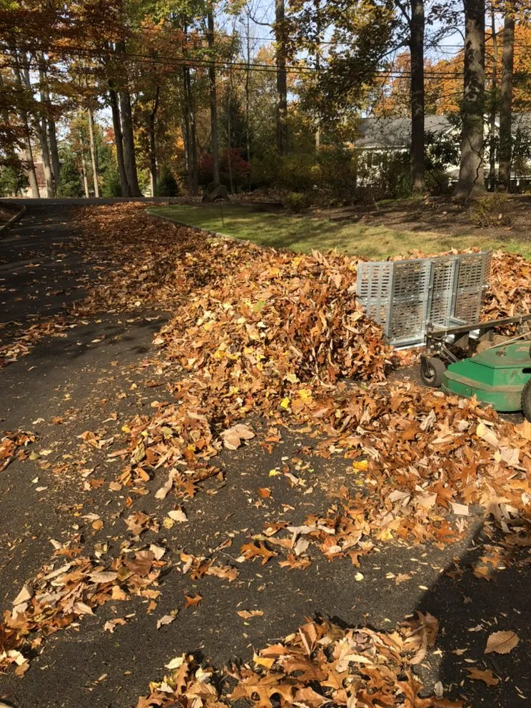 Top-rated residential landscaping in Orange, NJ - O&I Landscaping Llc