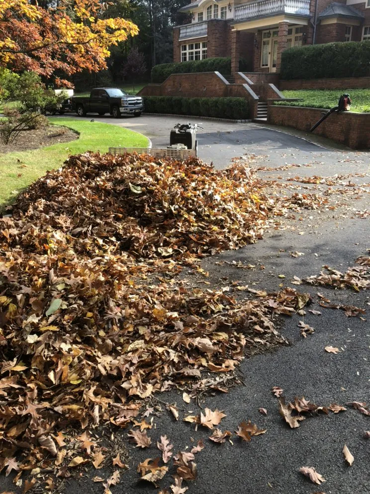 Professional outdoor landscaping experts serving Orange, NJ - O&I Landscaping Llc