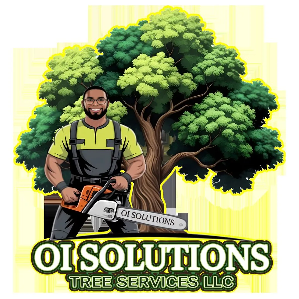 Reliable landscaping services for residential properties across Daytona Beach, FL - OI Solutions