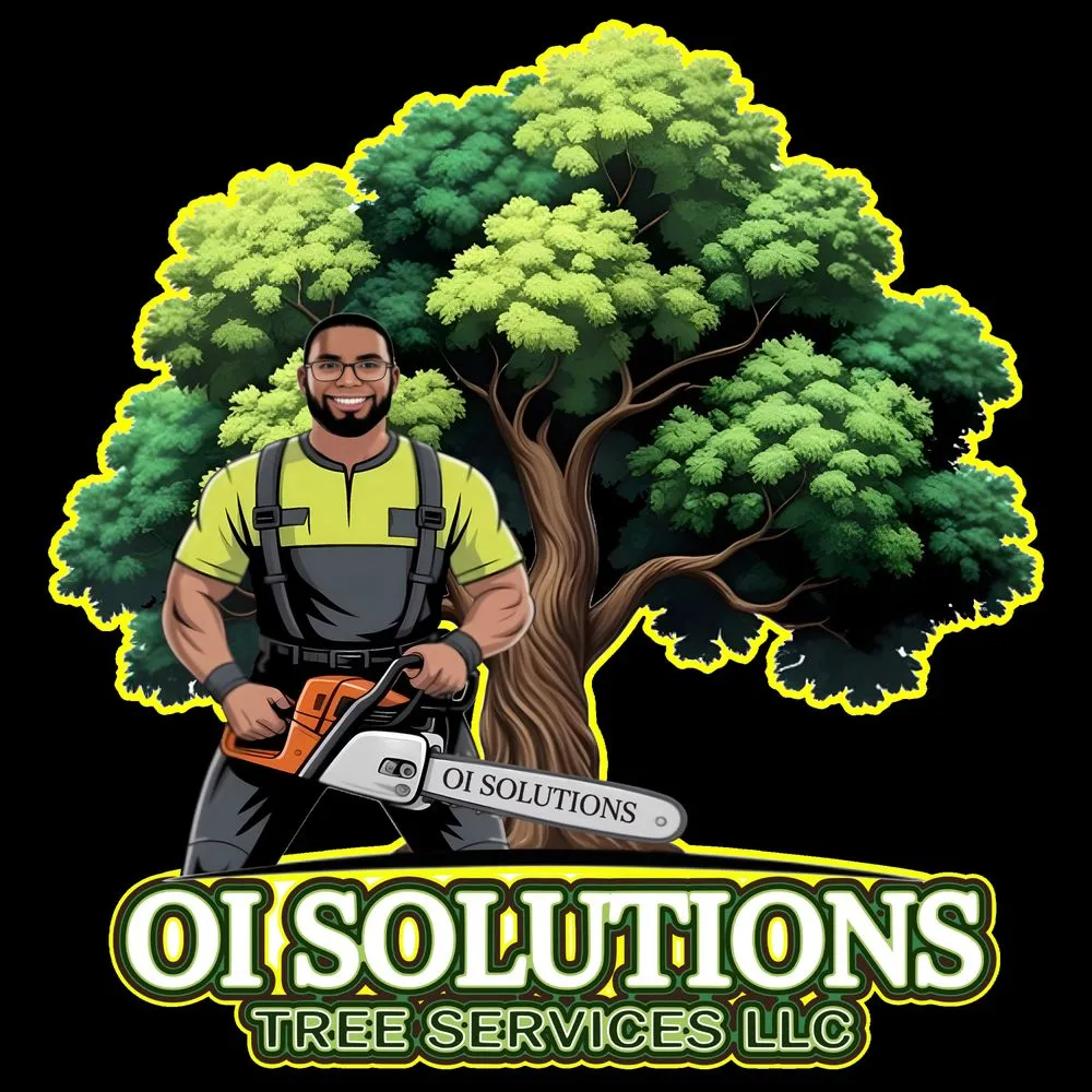 Top-rated landscaping services in Daytona Beach, FL - OI Solutions