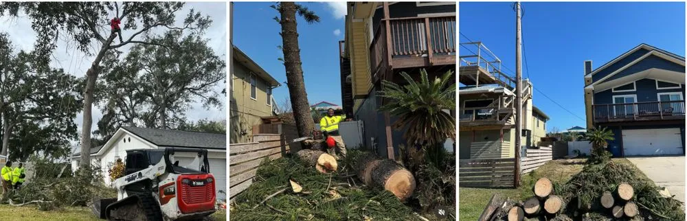 Professional garden landscaping with custom design across Daytona Beach, FL - OI Solutions