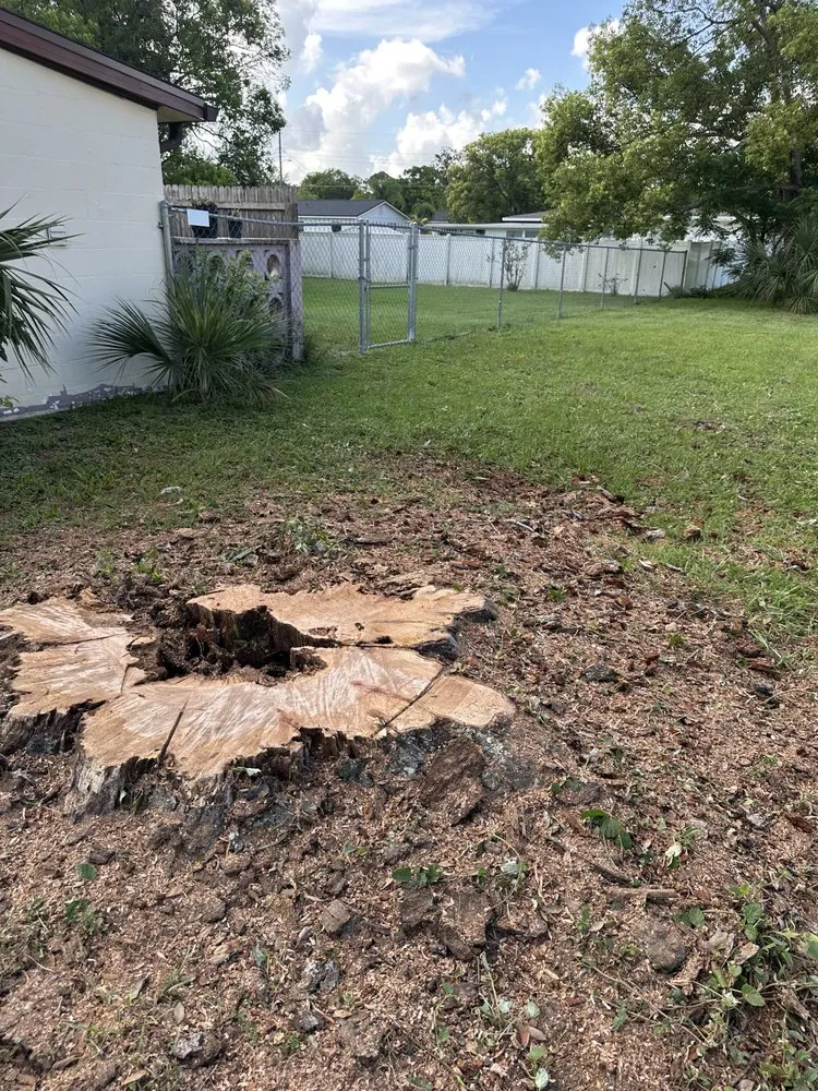 Local landscaping services near you across Daytona Beach, FL - OI Solutions