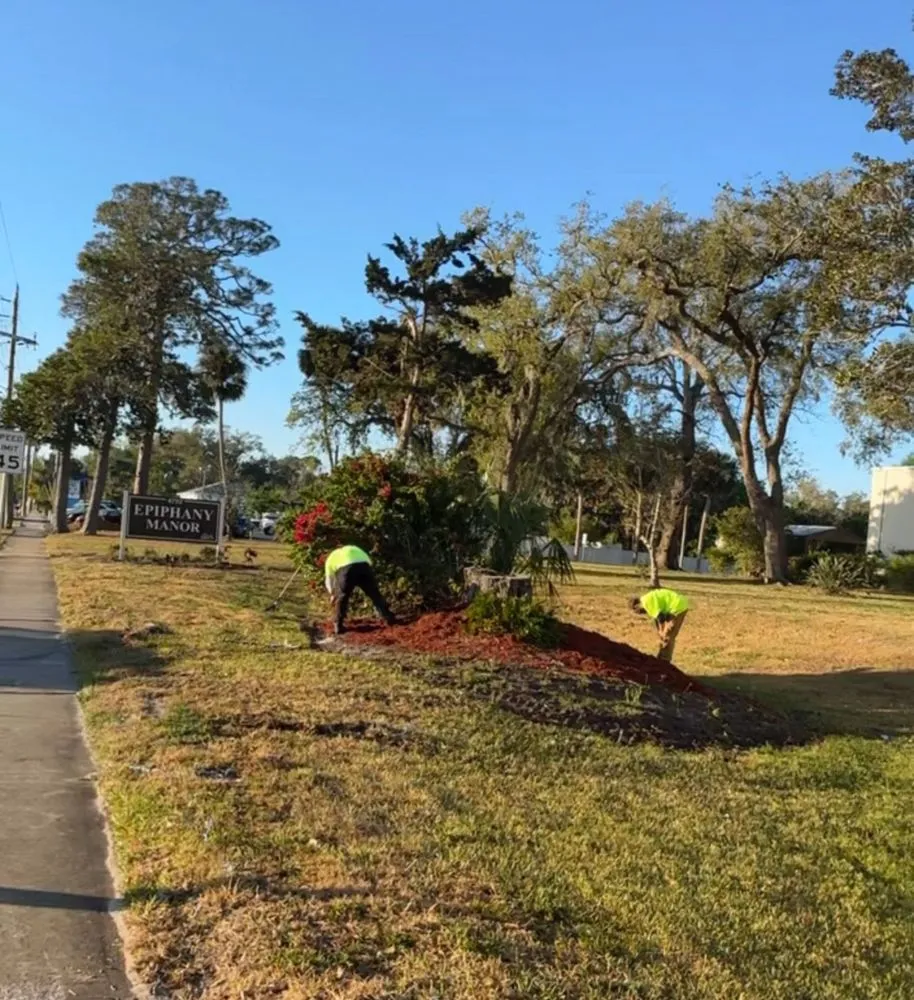 Affordable residential landscaping in Daytona Beach, FL - OI Solutions