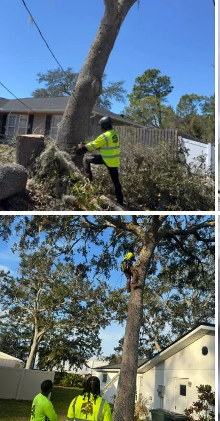 Local landscape installation in Daytona Beach, FL - OI Solutions