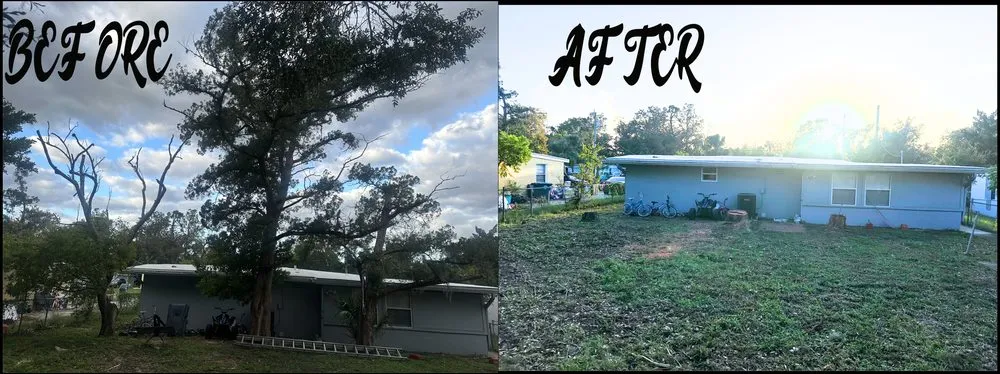 Professional garden landscaping in Daytona Beach, FL - OI Solutions