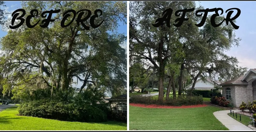 Affordable landscaping services in Daytona Beach, FL - OI Solutions