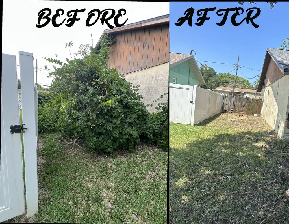 Expert garden landscaping in Daytona Beach, FL by OI Solutions