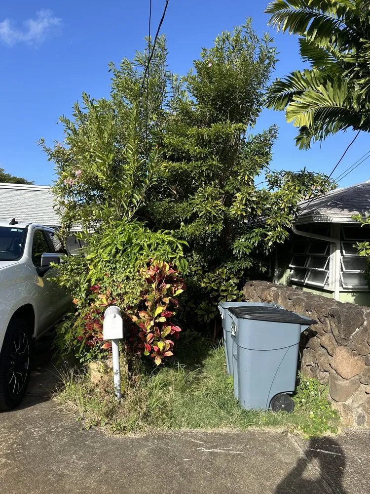 Affordable landscaping services in Kapolei, HI - Oiwi Landscaping