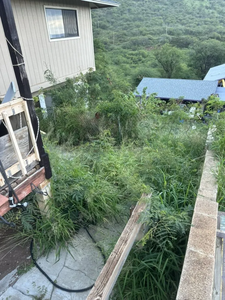 Custom yard maintenance in Kapolei, HI by Oiwi Landscaping