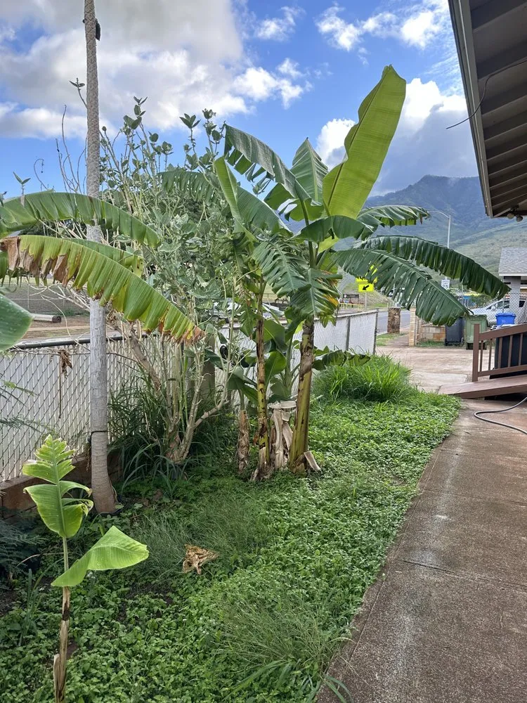 Trusted outdoor landscaping in Kapolei, HI by Oiwi Landscaping