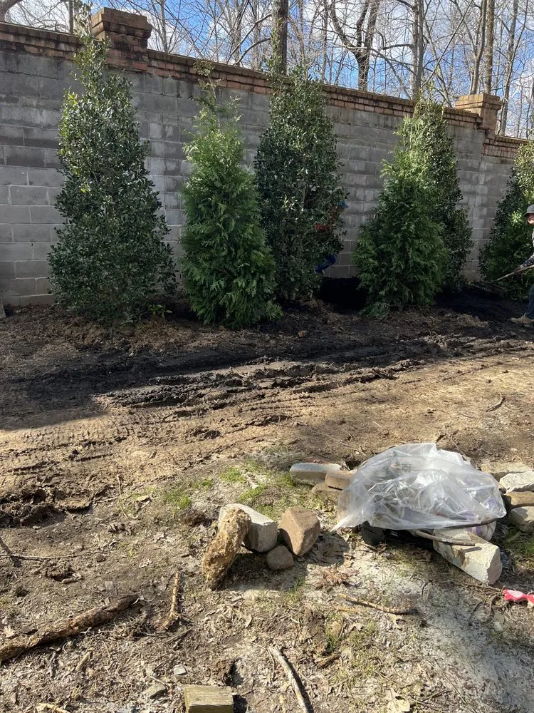 Custom yard cleanup service in Memphis, TN - O&J Service