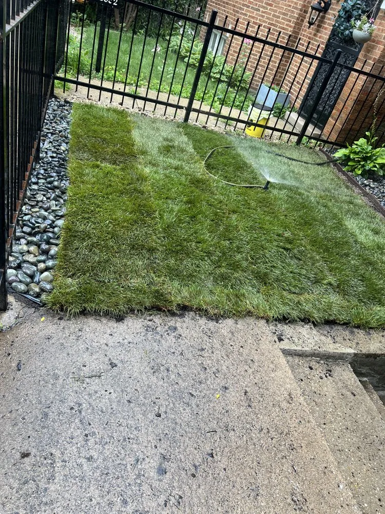 Expert landscape design in Chicago, IL - Ojaola Pro Services