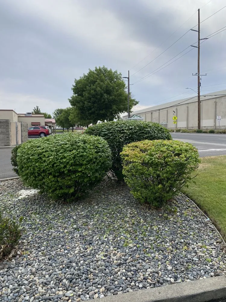 Local yard maintenance in Walla Walla, WA - Ojcius Lawn Care