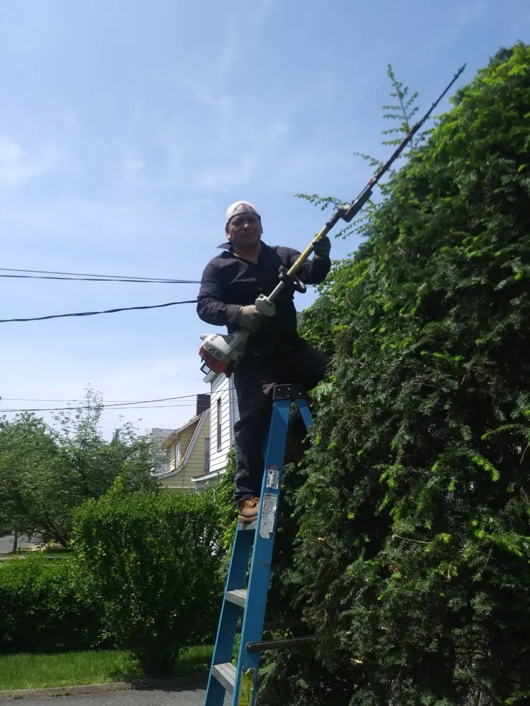 Custom yard cleanup service experts serving City of Orange, NJ - Ojeda & Son Landscaping & Construction Lawn Sprinklers