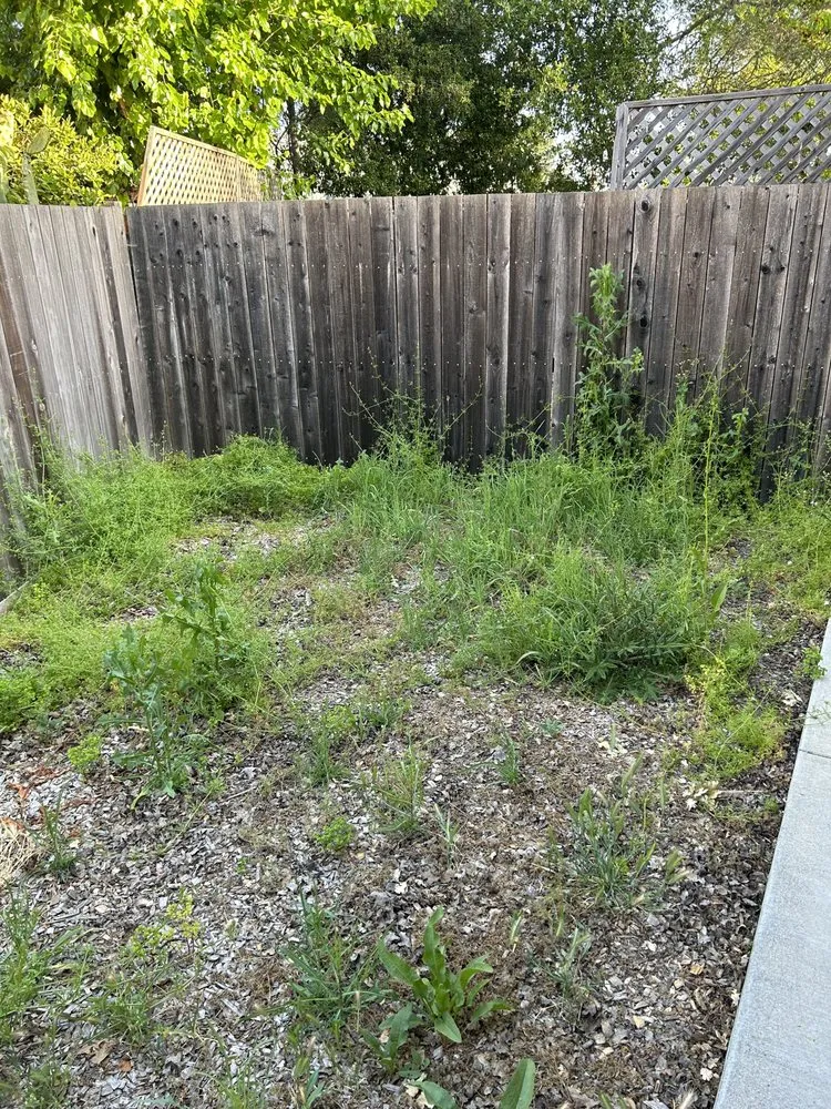 Top-rated landscape design for residential properties in Santa Rosa, CA by Ojeda Property Services