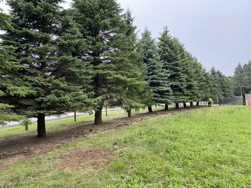 Custom residential landscaping for homes in Elgin, IL by Ojeda Service