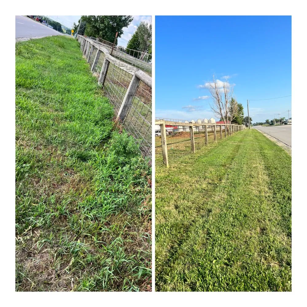 Professional residential landscaping for beautiful yards across Audubon, IA - Ojk Lawn Care