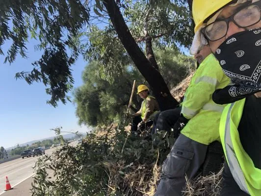 OJM Landscaping Logo