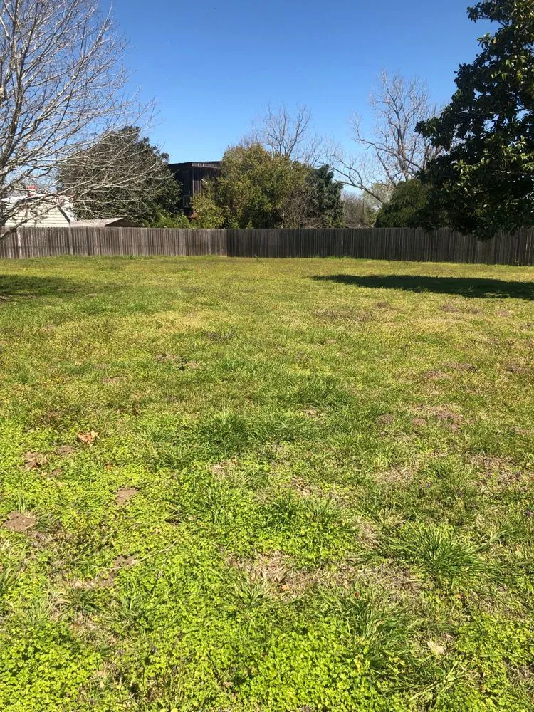 Local residential landscaping with custom design in New Ulm, TX by Ojodeagua Lawn and Landscaping Services