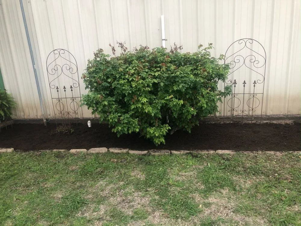Expert landscaping services in New Ulm, TX by Ojodeagua Lawn and Landscaping Services