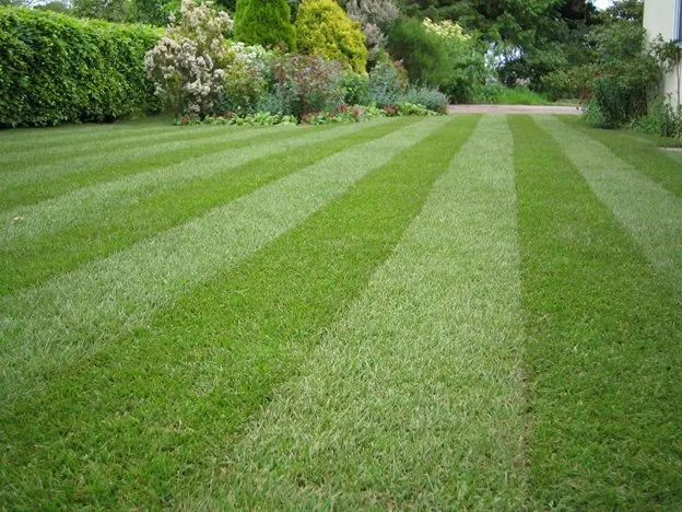 Custom lawn mowing service in Metairie, LA - OJ's Janitorial & Sweeping Service